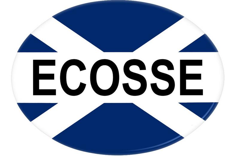 Halfords Ecosse Car Sticker Halfords Ecosse Car Sticker