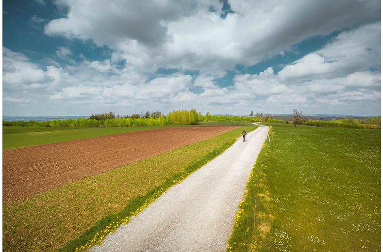 Schwalbe Marathon Plus Reflex Tyre 26x1.75 Schwalbe Marathon Plus Reflex Tyre 26x1.75