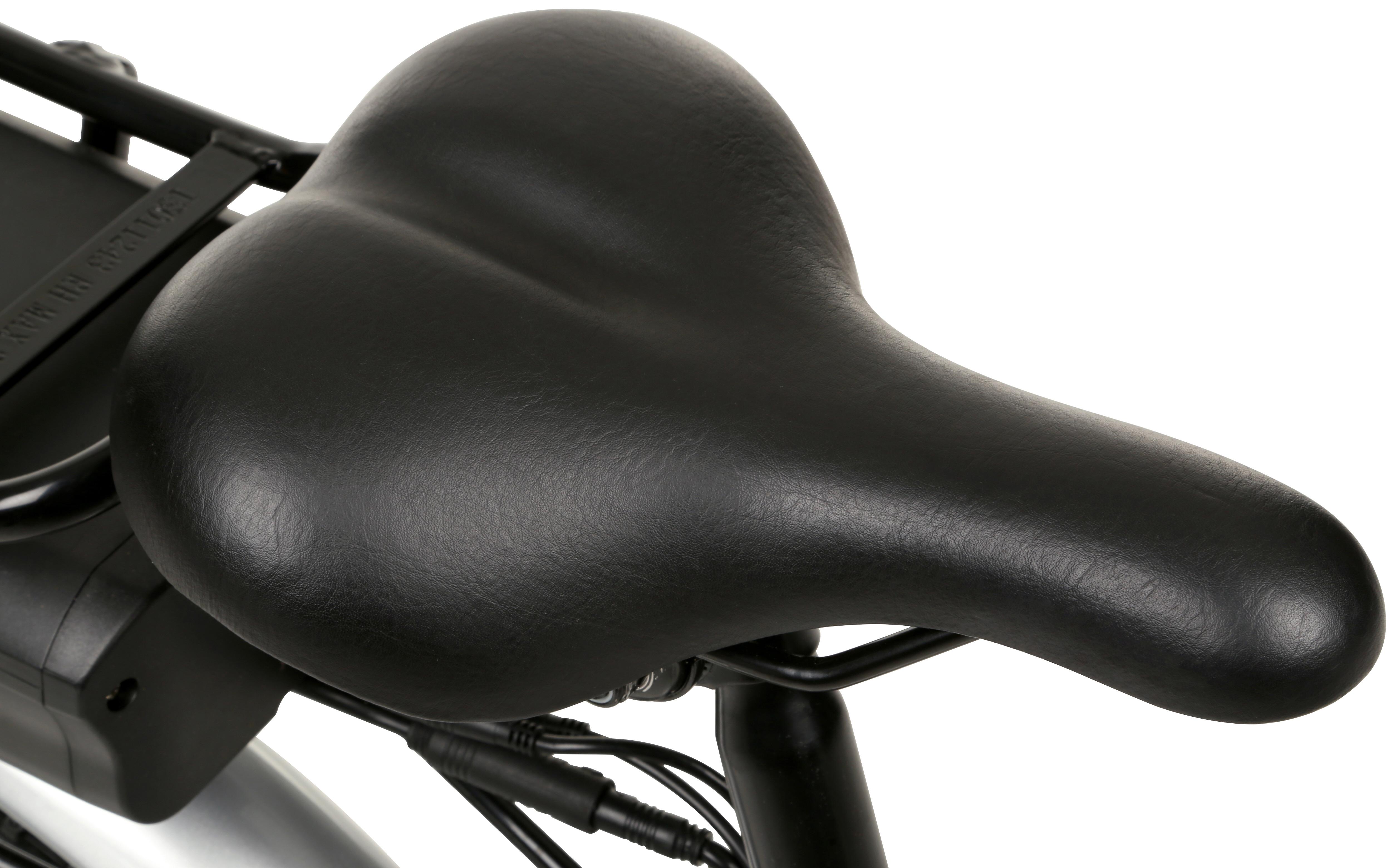 Assist Step-Thru Hybrid Electric Bike 2021
