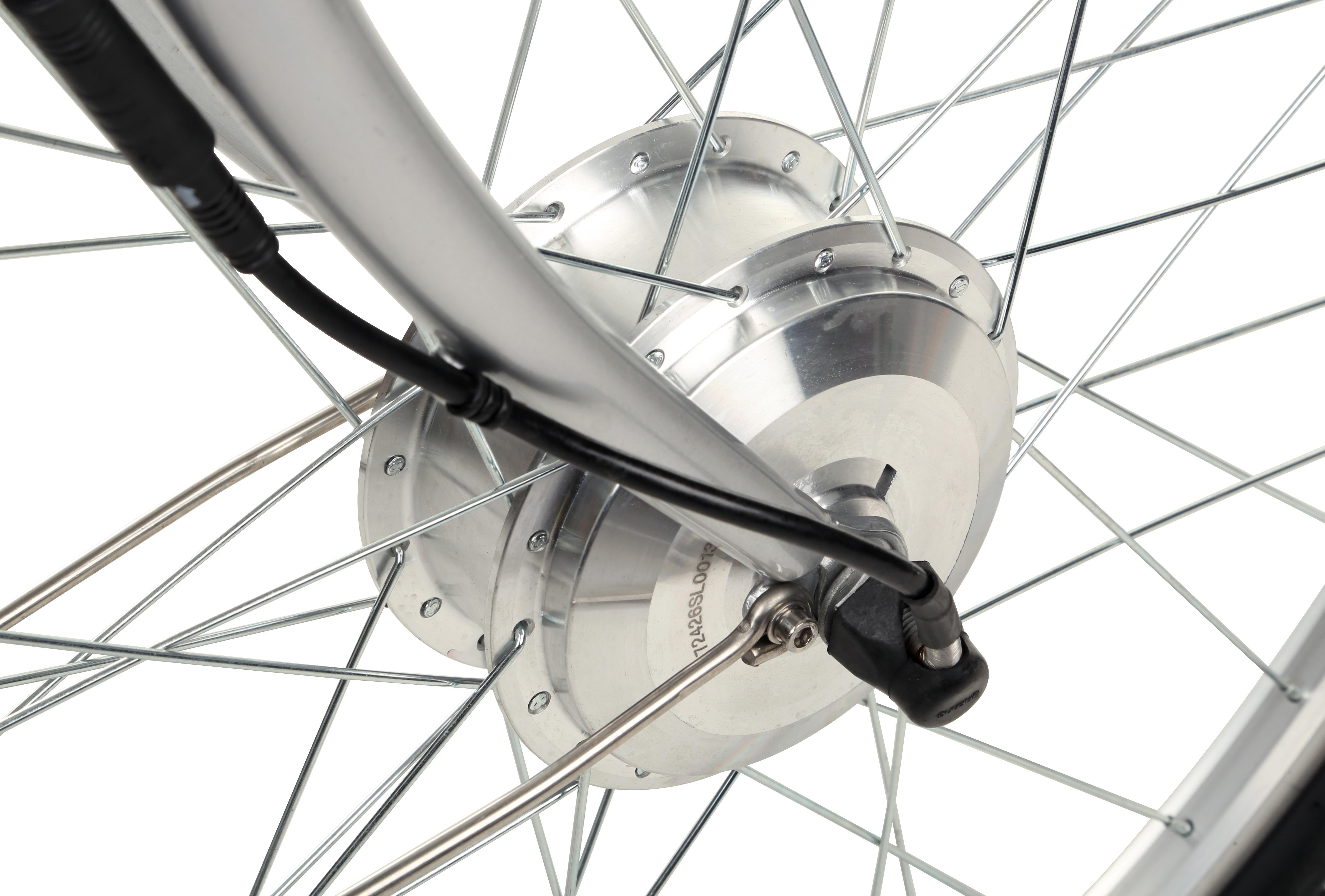 Assist Step-Thru Hybrid Electric Bike 2021