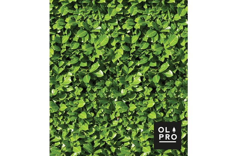Olpro Windbreak Olpro Windbreak