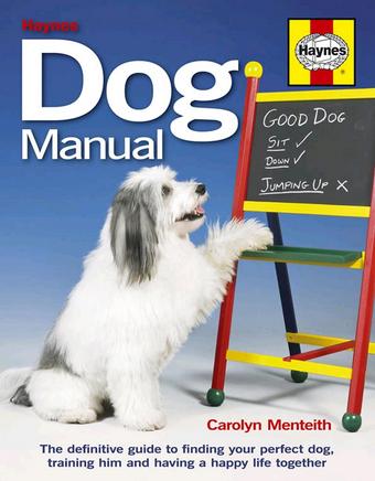 Haynes Dog Manual