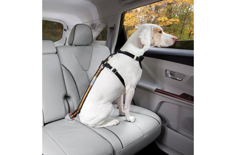 Kurgo Seat Belt Tether Kurgo Seat Belt Tether