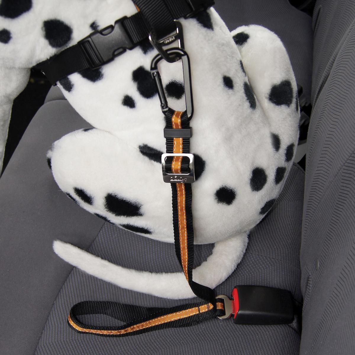 Kurgo Seat Belt Tether