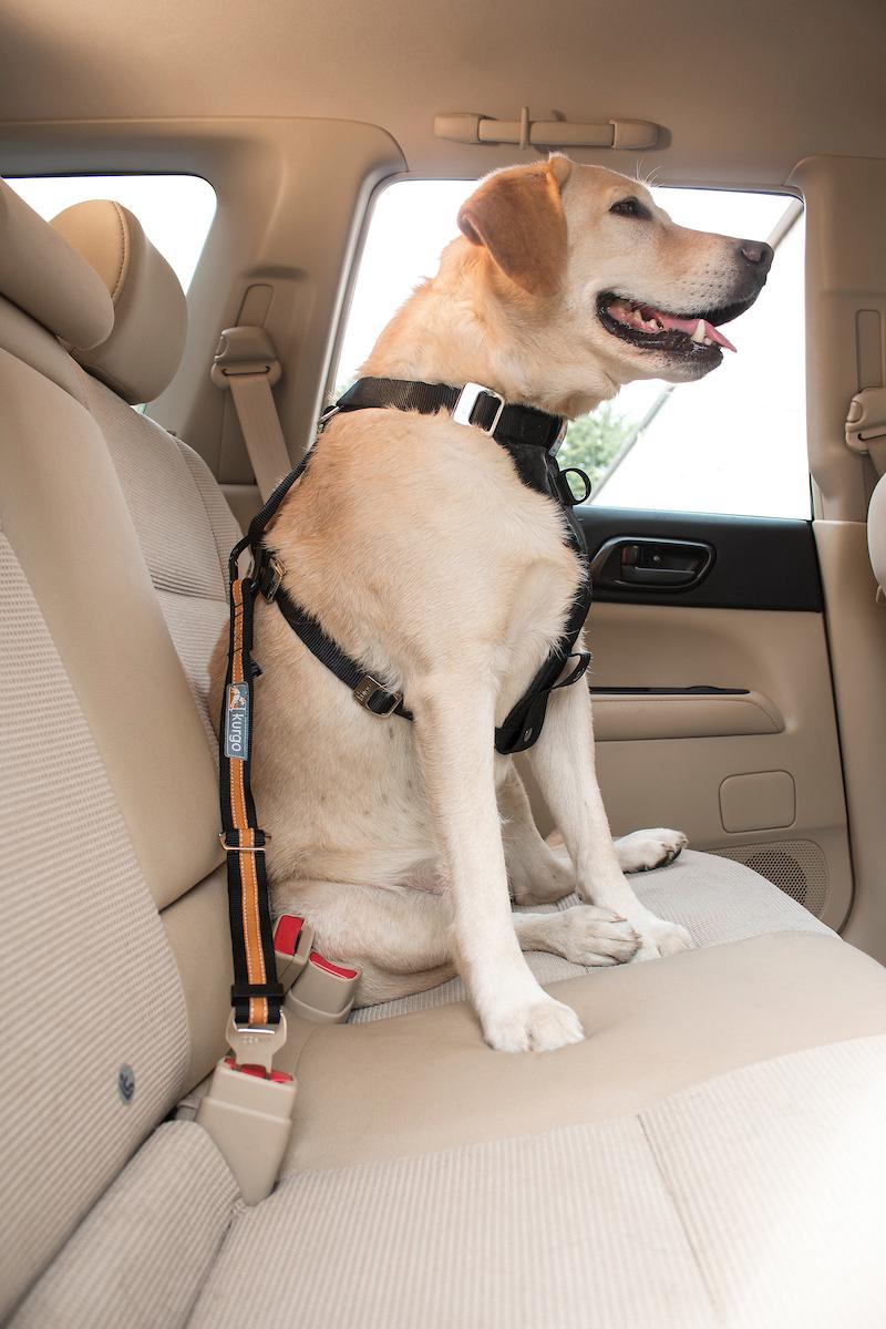 Kurgo Seat Belt Tether