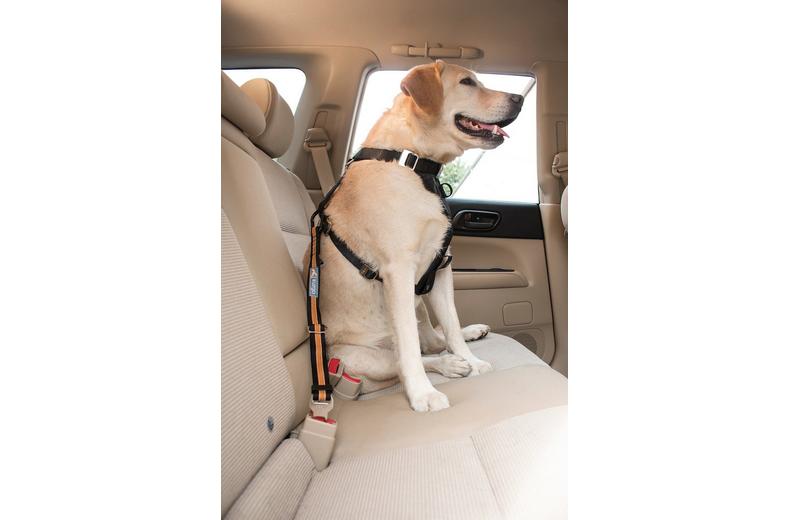 Kurgo Seat Belt Tether Kurgo Seat Belt Tether