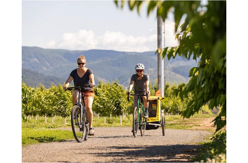 Burley Bee Single Child Trailer Burley Bee Single Child Trailer