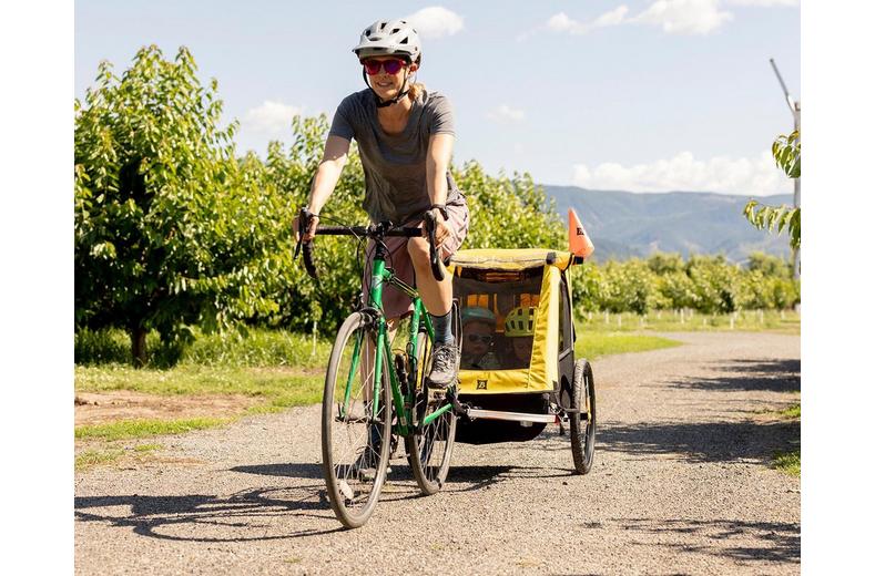 Burley Bee Double Child Trailer Burley Bee Double Child Trailer