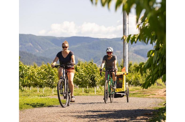 Burley Bee Double Child Trailer Burley Bee Double Child Trailer