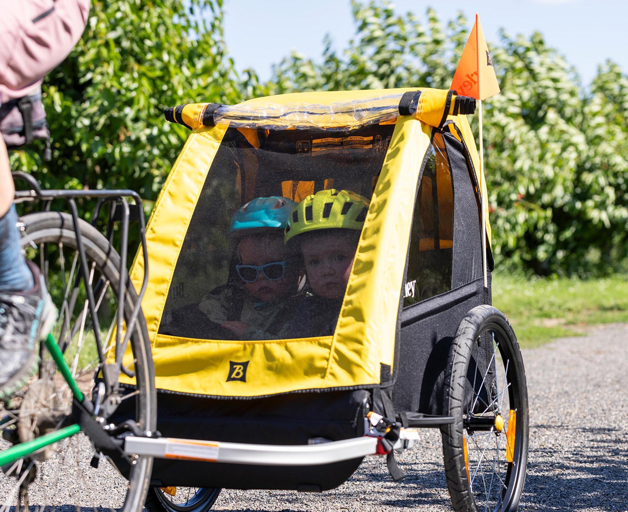 Burley Bee Double Child Trailer