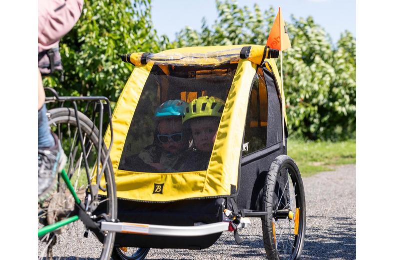 Burley Bee Double Child Trailer Burley Bee Double Child Trailer