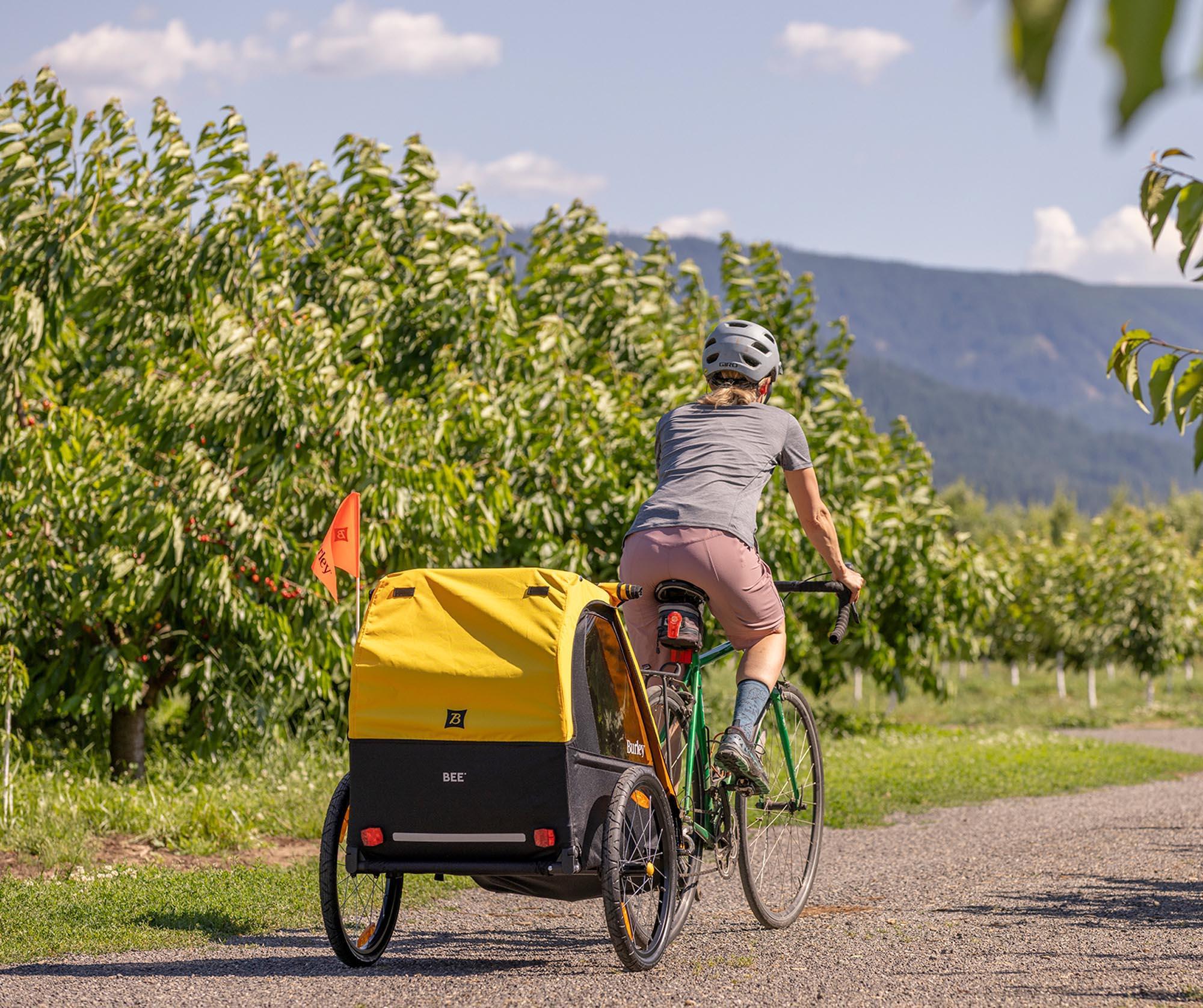 Burley Bee Double Child Trailer