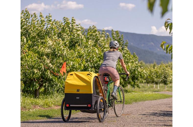 Burley Bee Double Child Trailer Burley Bee Double Child Trailer