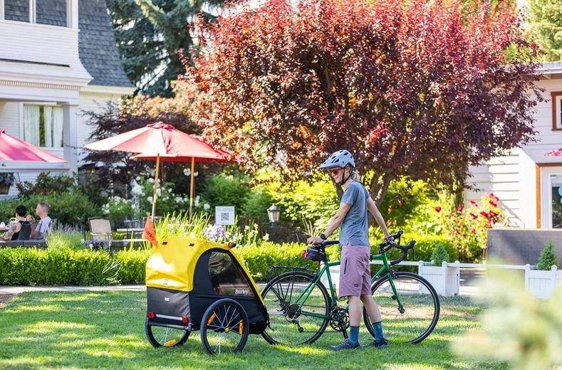 Burley Bee Double Child Trailer Burley Bee Double Child Trailer