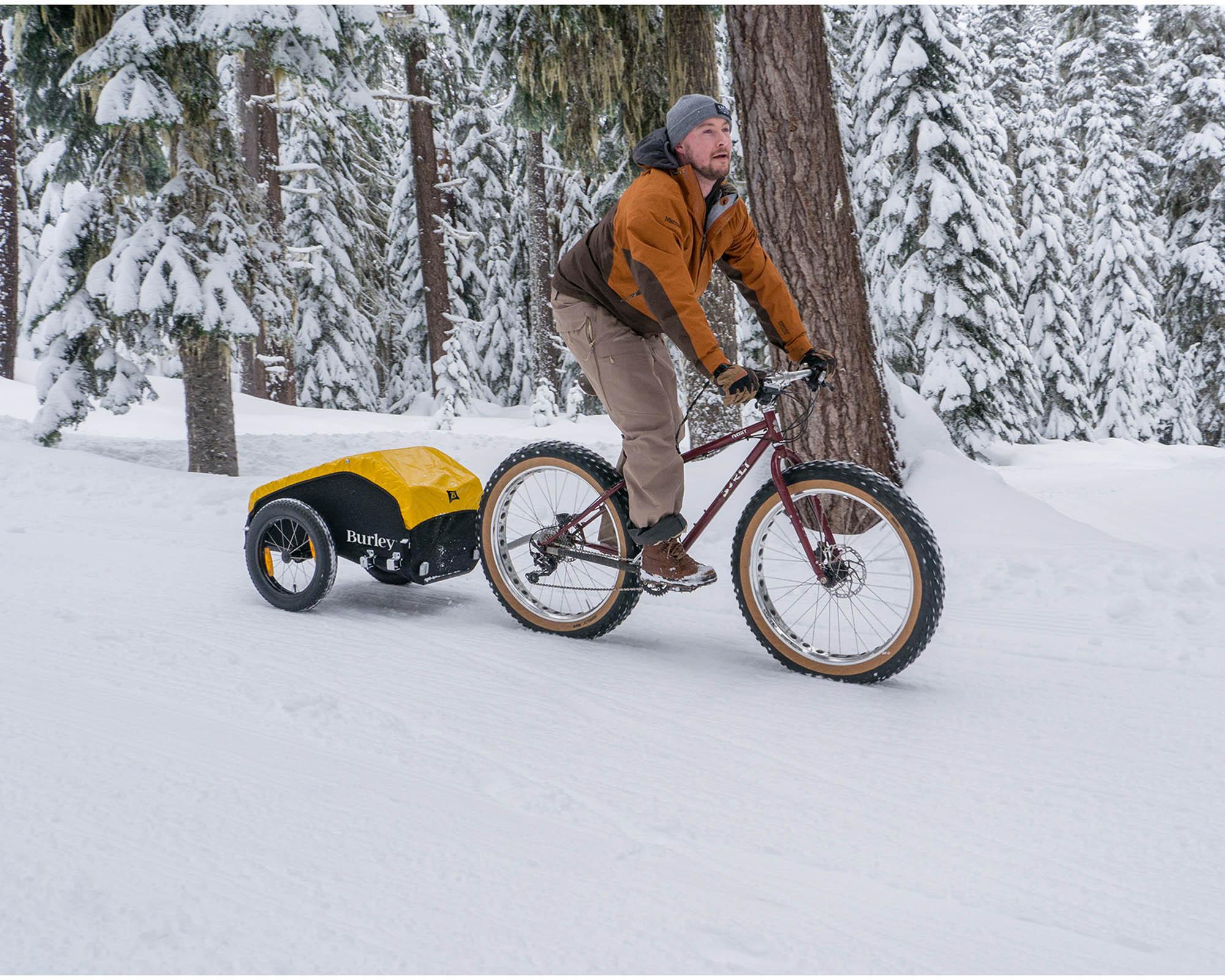 Burley Nomad Utility Trailer