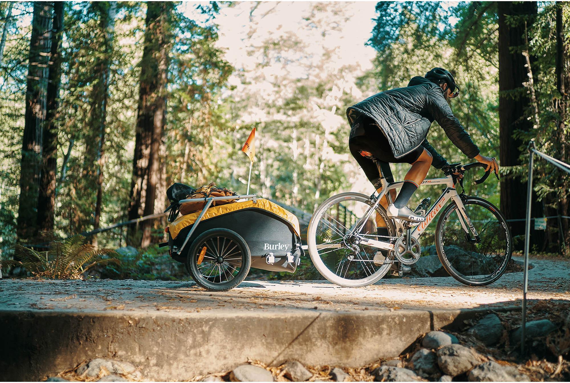 Burley Nomad Utility Trailer