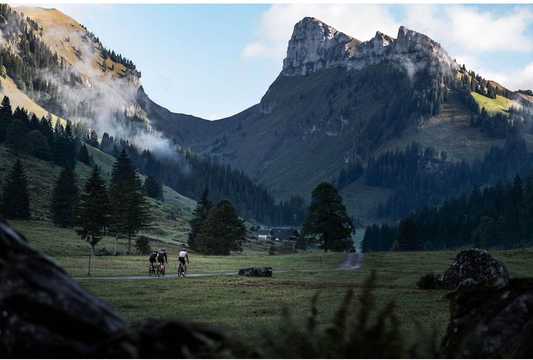 DT Swiss ER 1600 SPLINE Disc Brake Wheel 700c