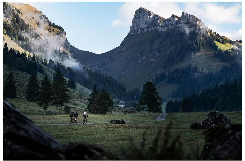 DT Swiss ER 1600 SPLINE Disc Brake Wheel 700c DT Swiss ER 1600 SPLINE Disc Brake Wheel 700c