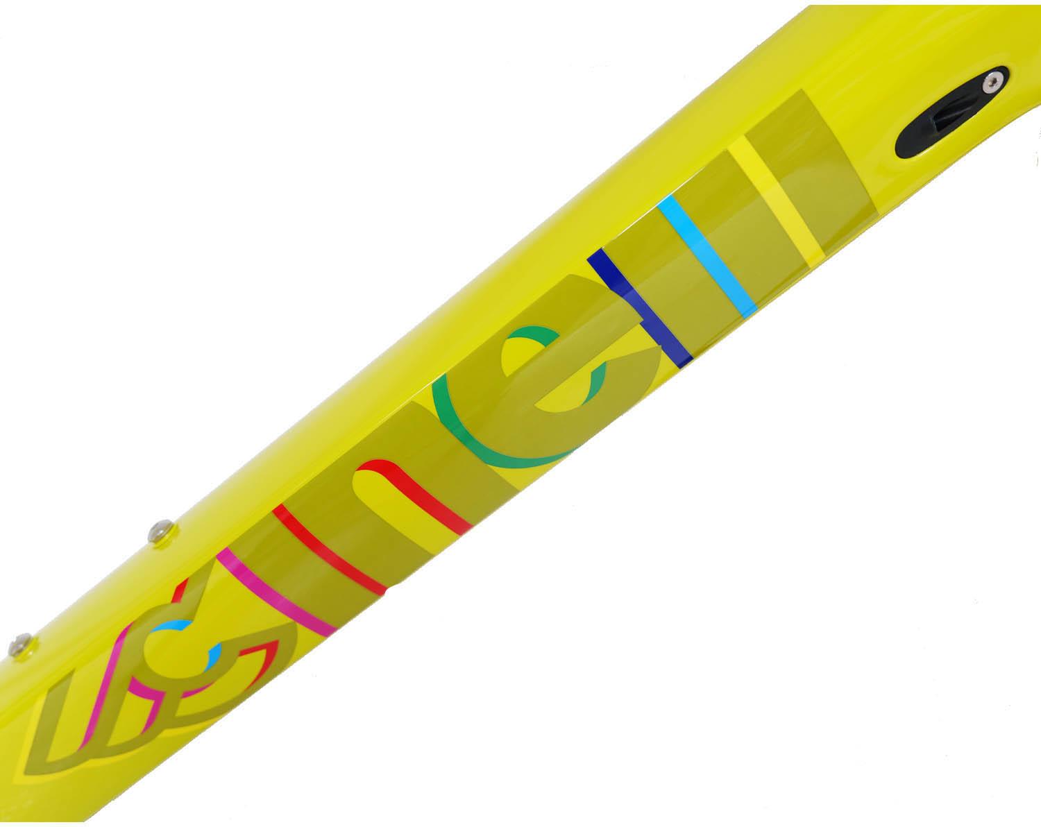 Cinelli King Zydeco Disc Gumbo Carbon Gravel Frameset Medium