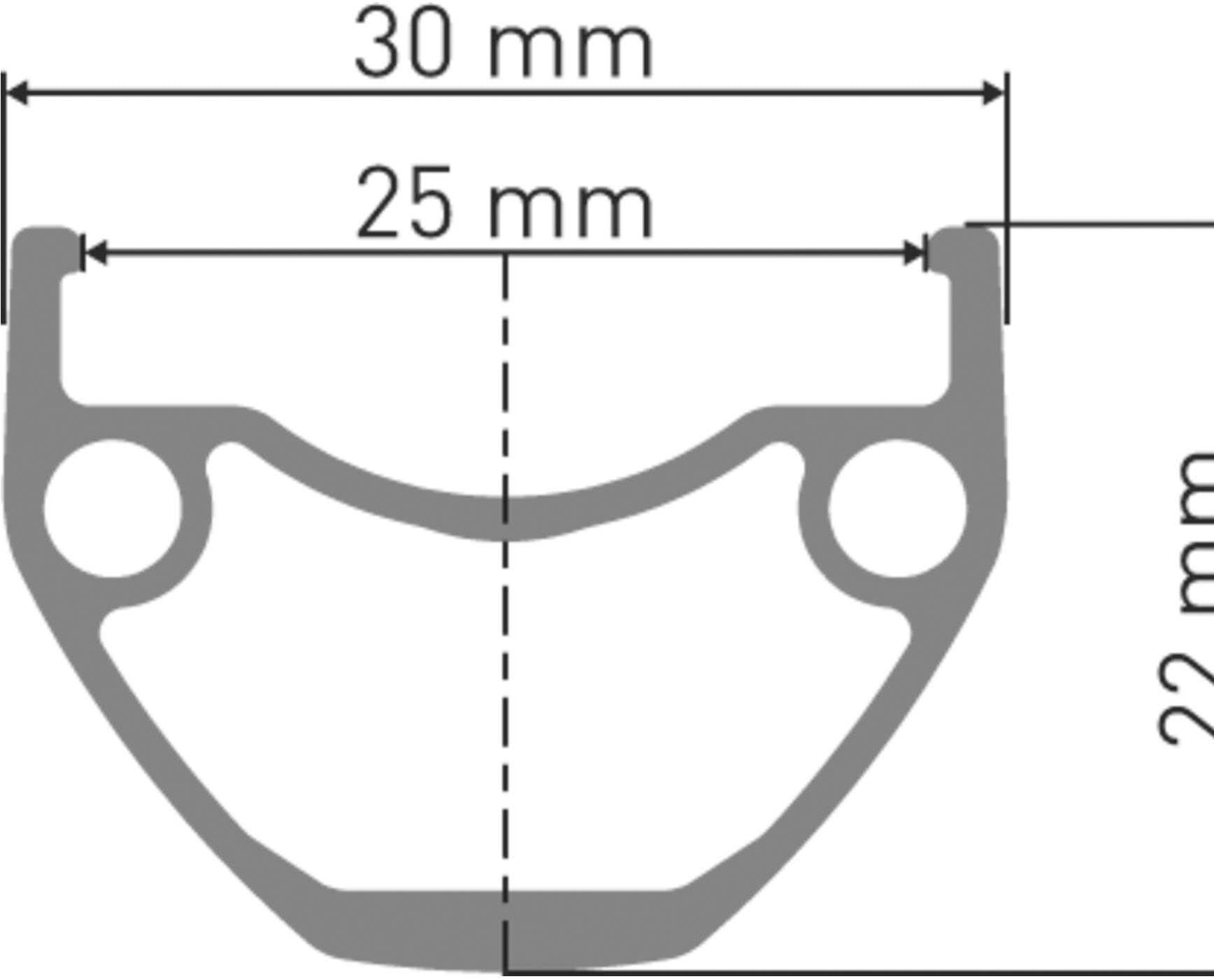 DT Swiss HU 1900 SPLINE E-Bike 29" Wheel, Rear 135mm Quick Release Micro Spline