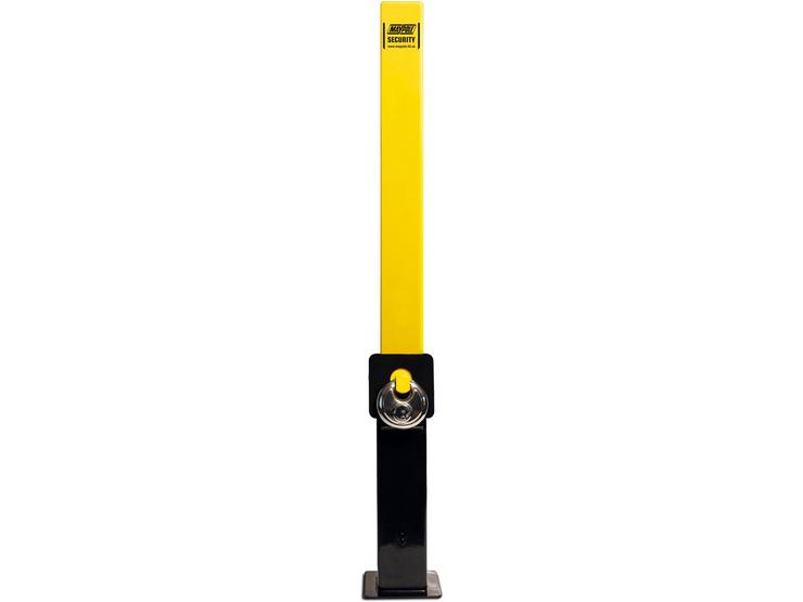 Heavy Duty Removable Security Post
