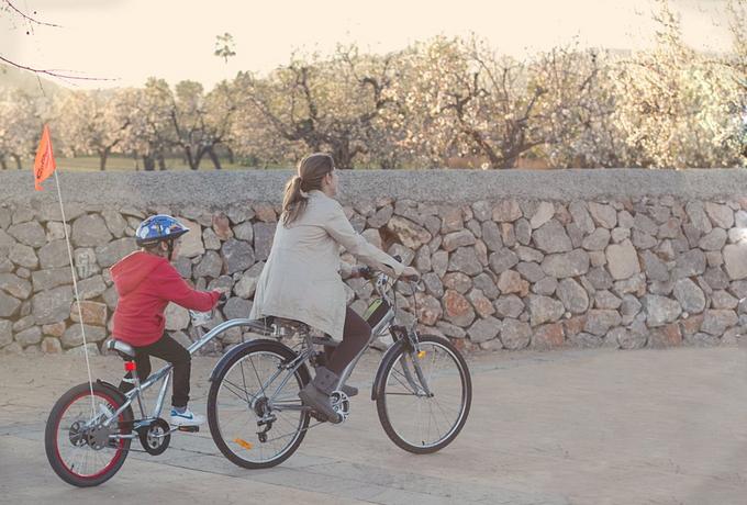 Bike Trailers for Kids Toddlers Babies Halfords UK