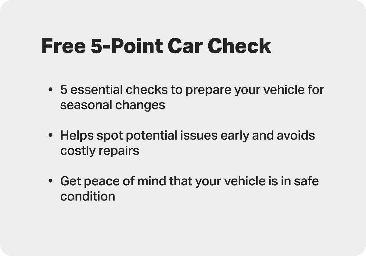 Free 5 Point Winter Car Check