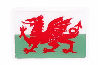 Welsh Dragon Badge