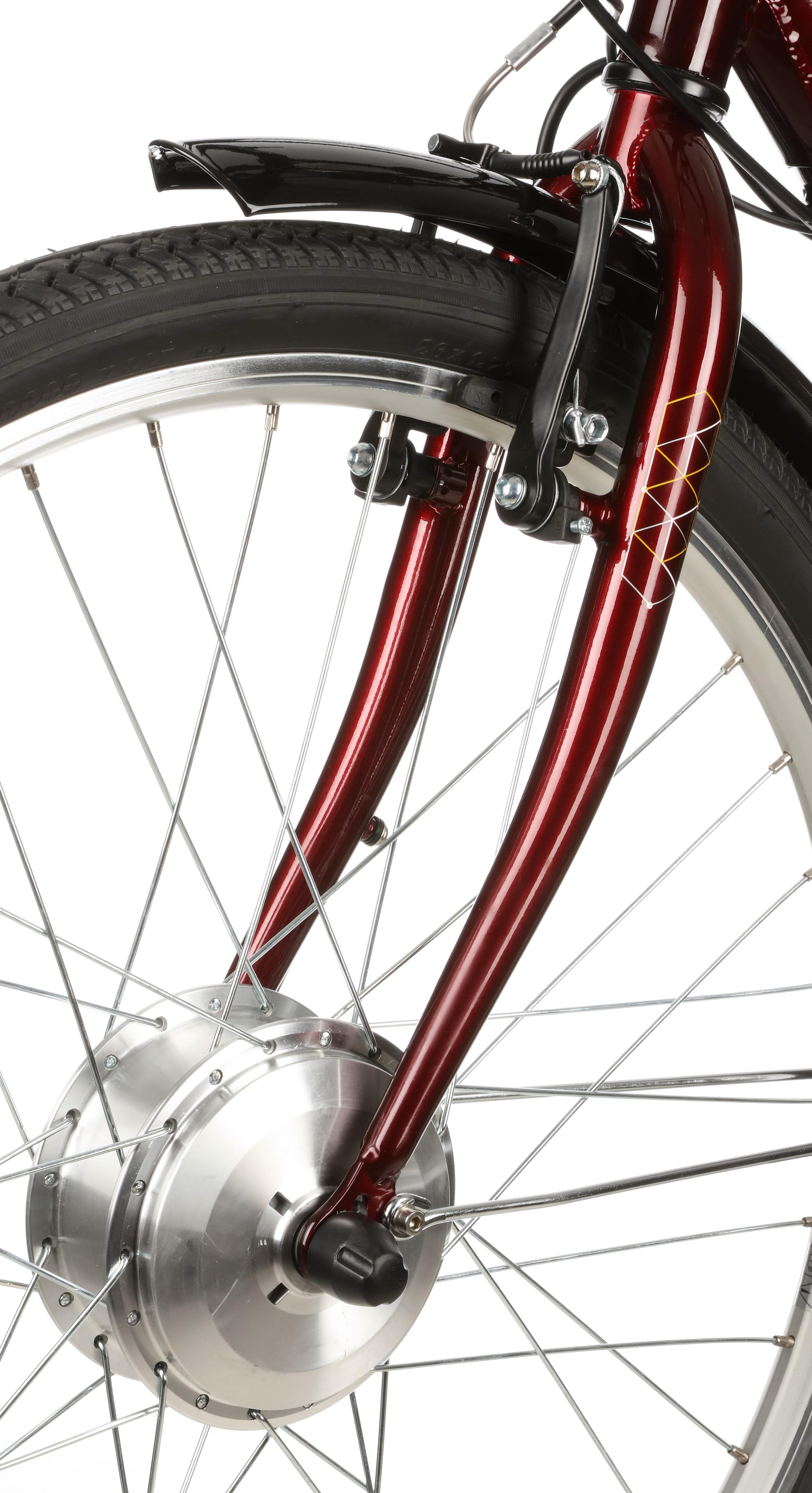 Assist Step-Thru, Electric Hybrid Bike