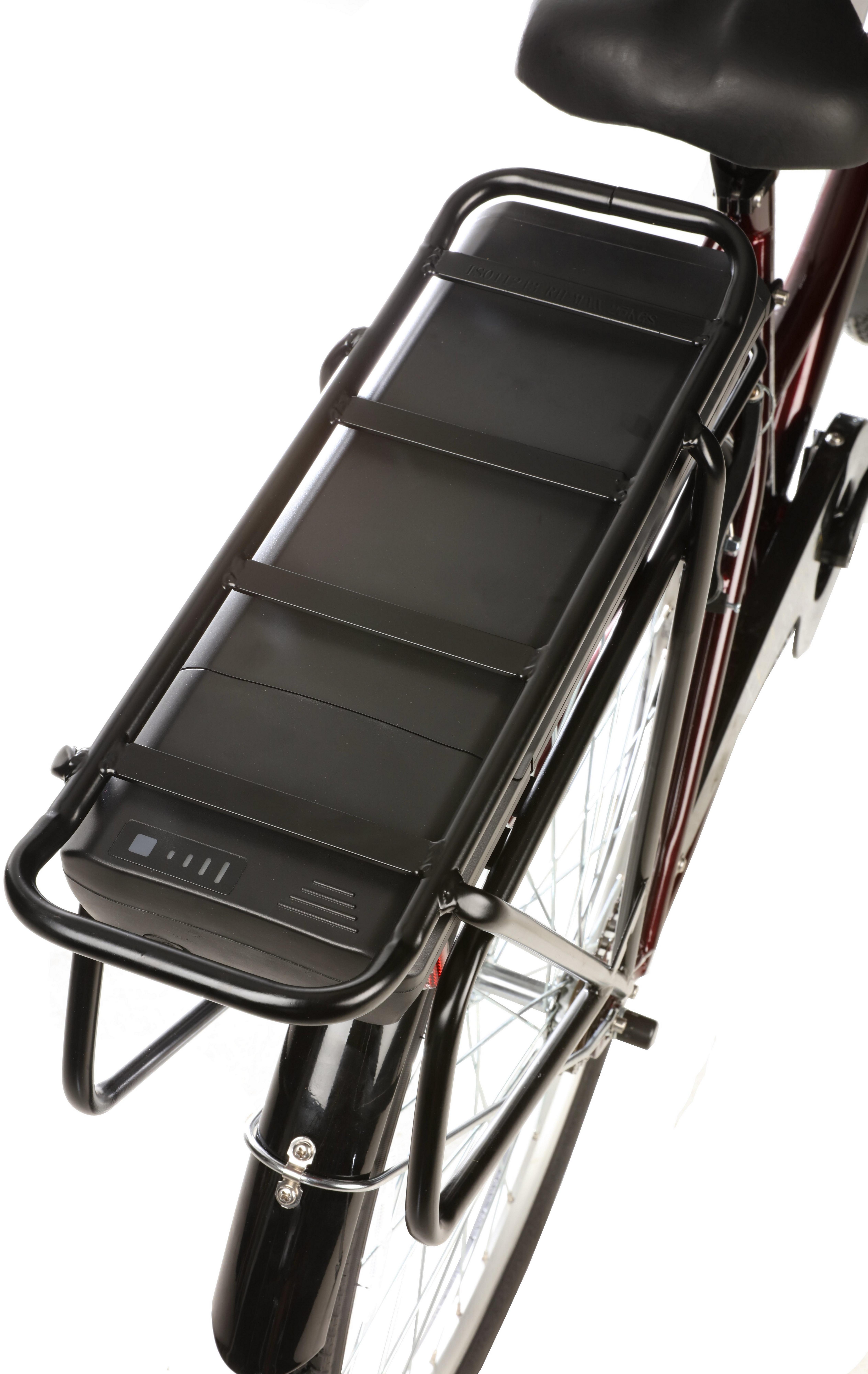 Assist Step-Thru, Electric Hybrid Bike