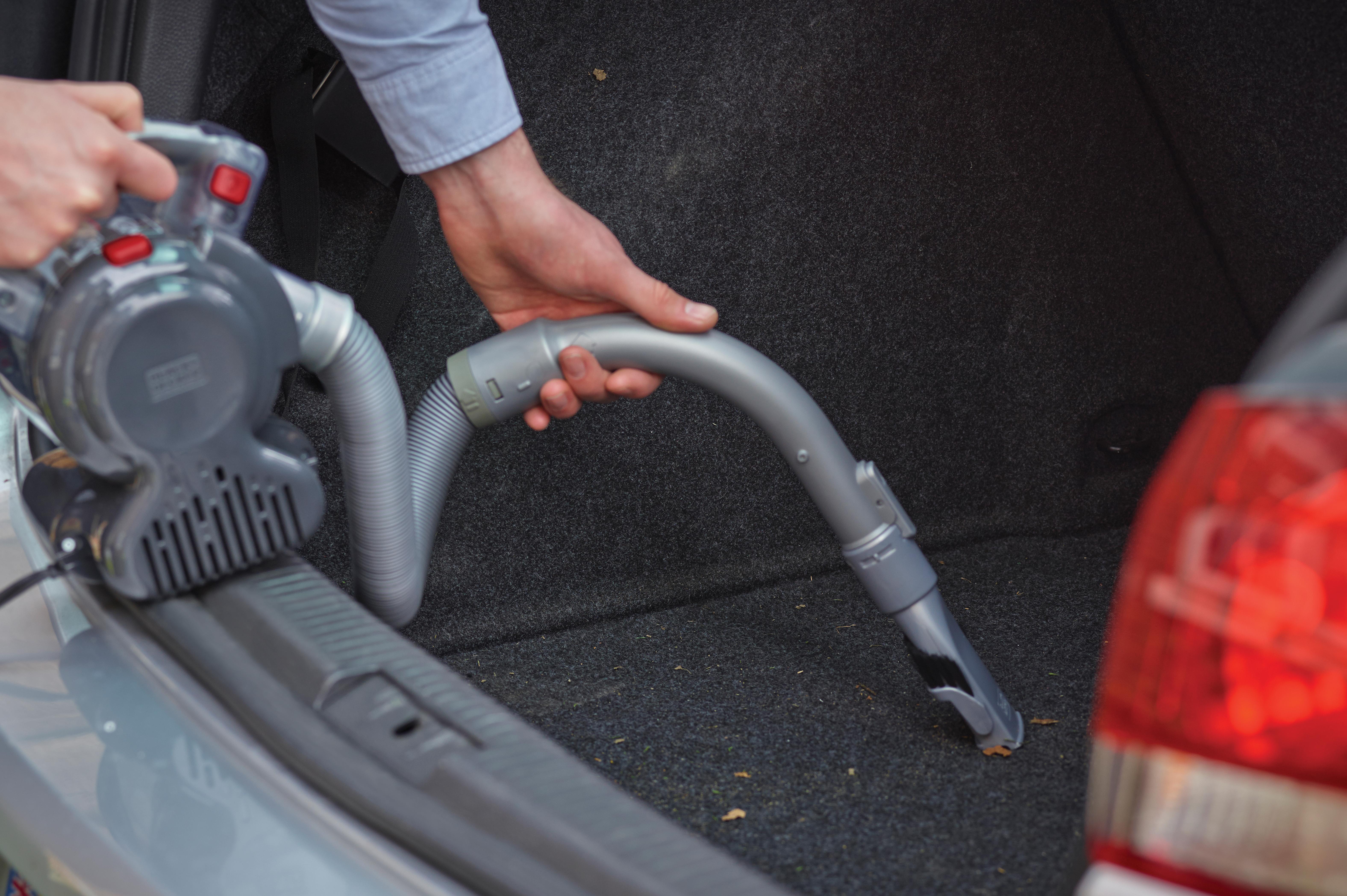 Black & Decker  12V Dustbuster Flexi Auto Vac