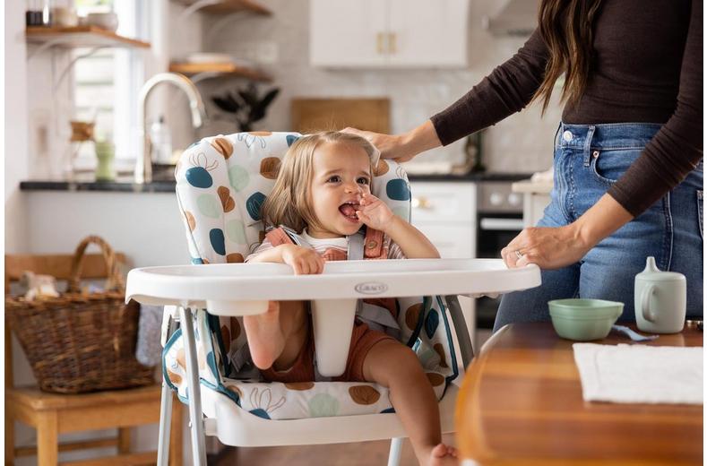 Graco SnackEase Highchair - Organza Graco SnackEase Highchair - Organza
