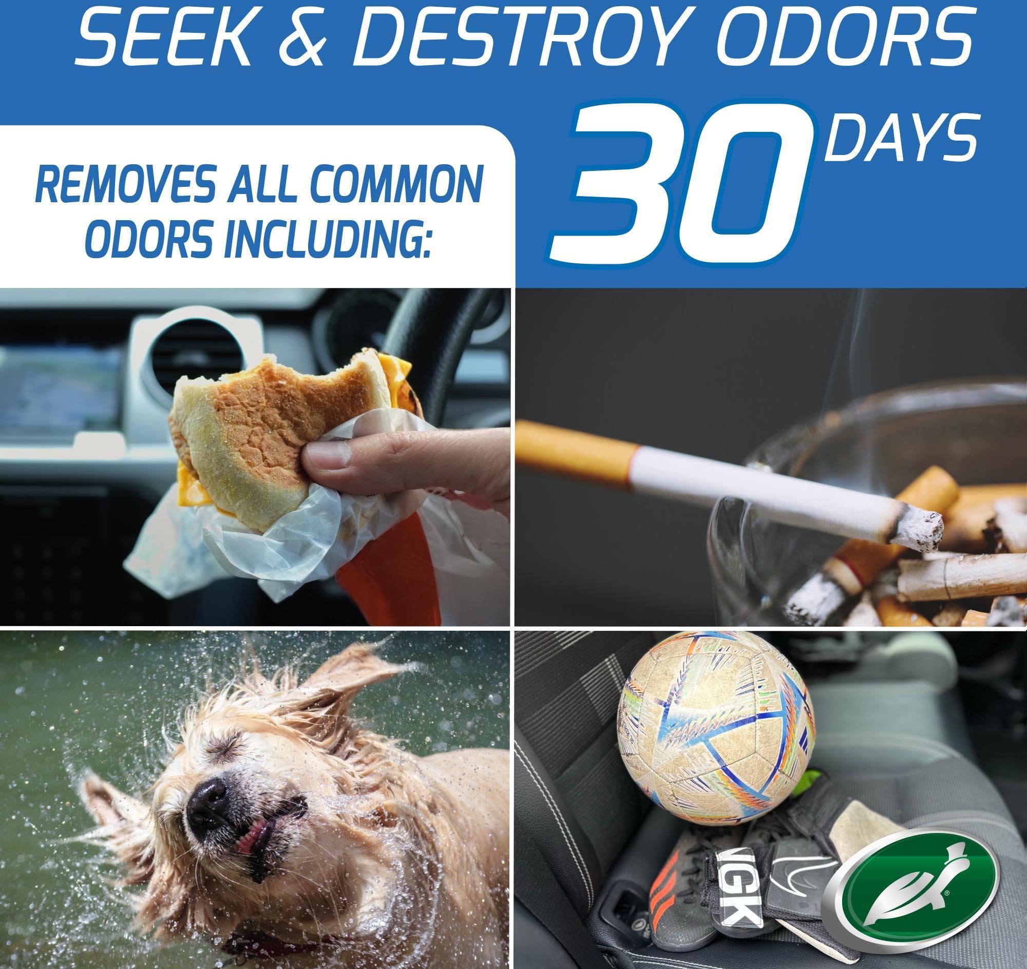 Turtle Wax Odor-X Fogger Savage Ice