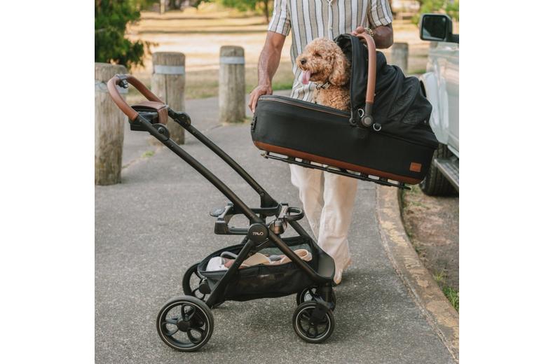 Tavo Maeve Medium Dog Car Seat with Car Seat Base - Rigid Onyx Tavo Maeve Medium Dog Car Seat with Car Seat Base - Rigid Onyx