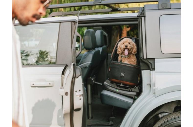 Tavo Maeve Medium Dog Car Seat with Car Seat Base - Rigid Onyx Tavo Maeve Medium Dog Car Seat with Car Seat Base - Rigid Onyx