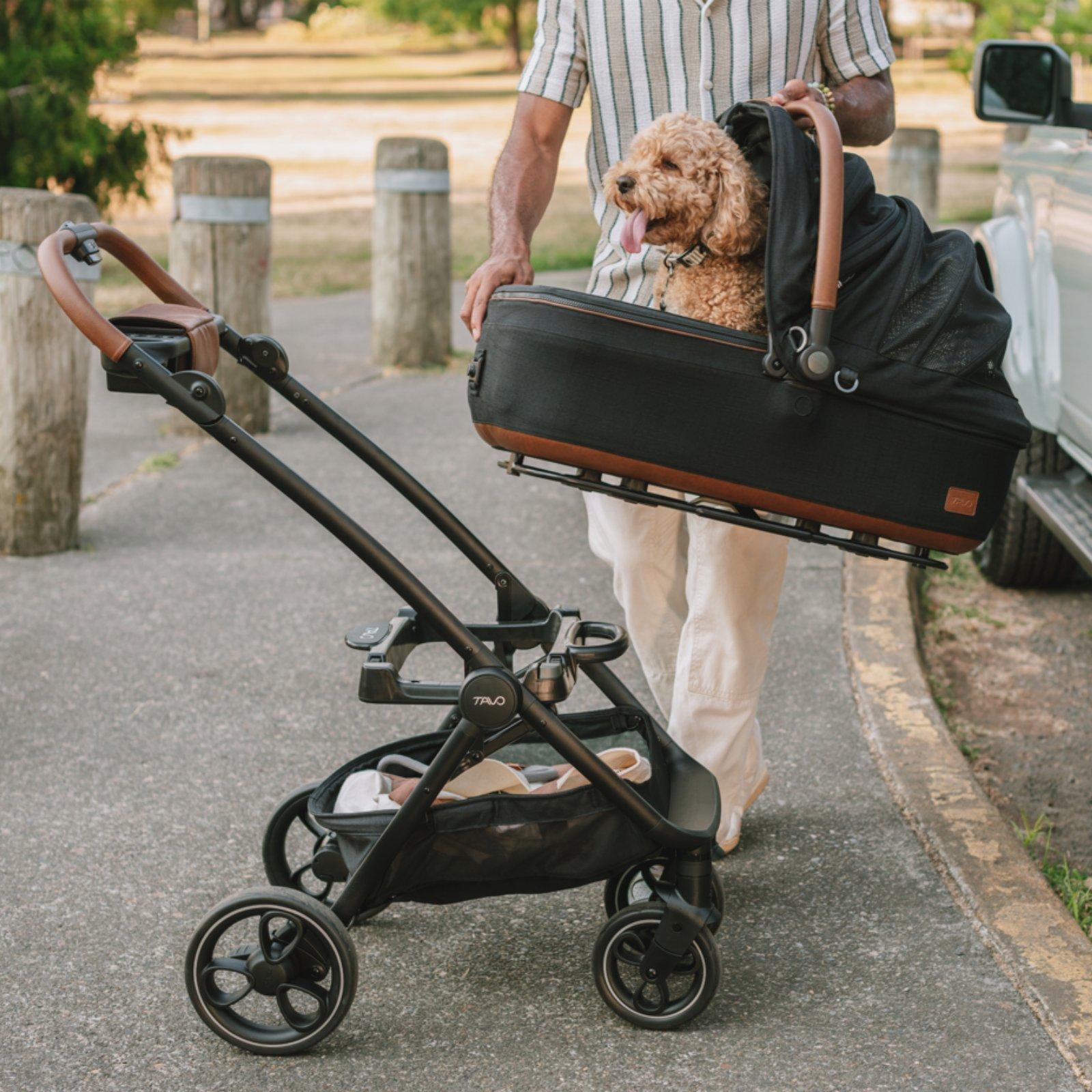 Tavo Maeve Medium Dog Car Seat with Car Seat Base - Rigid Merle