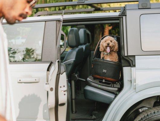 Tavo Maeve Medium Dog Car Seat with Car Seat Base - Rigid Merle