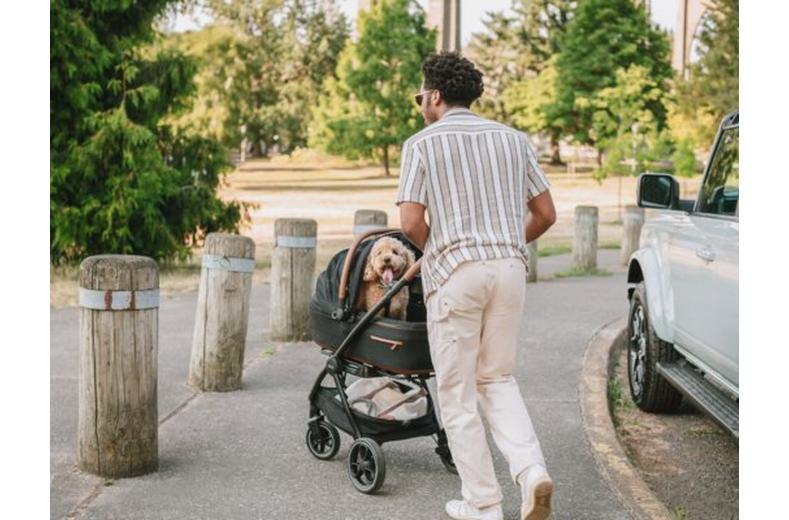 Tavo Maeve Medium Dog Car Seat with Car Seat Base - Rigid Merle Tavo Maeve Medium Dog Car Seat with Car Seat Base - Rigid Merle