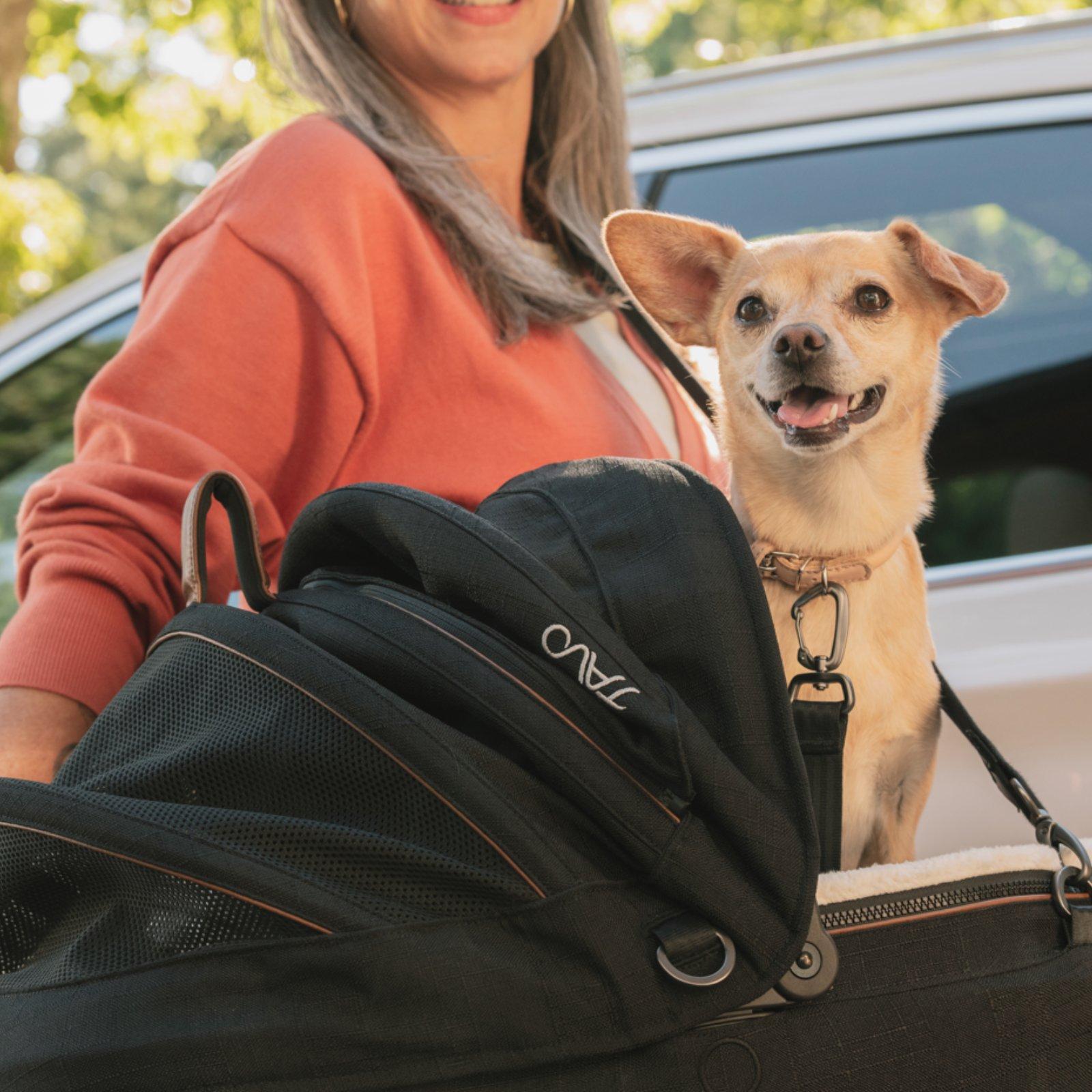 Tavo Maeve Small Dog Car Seat with Car Seat Base - Flex Onyx