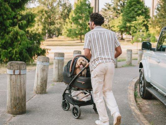 Tavo Maeve Small Dog Car Seat with Car Seat Base - Flex Onyx