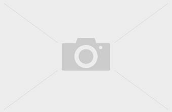 Halfords M2-130T Metallic Black Touch up 12ml