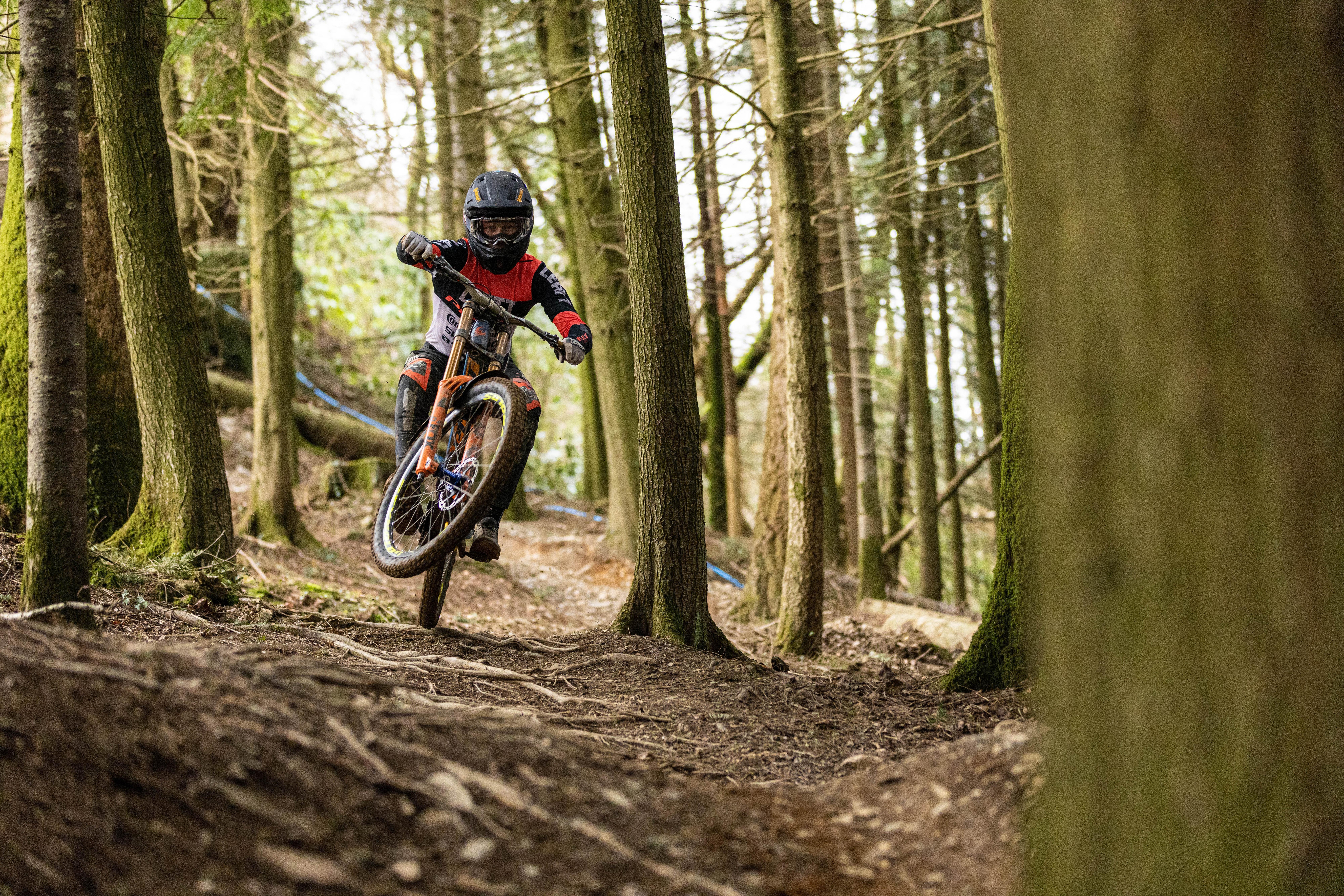 Continental Argotal Tyre, Enduro Soft, 29x2.4"