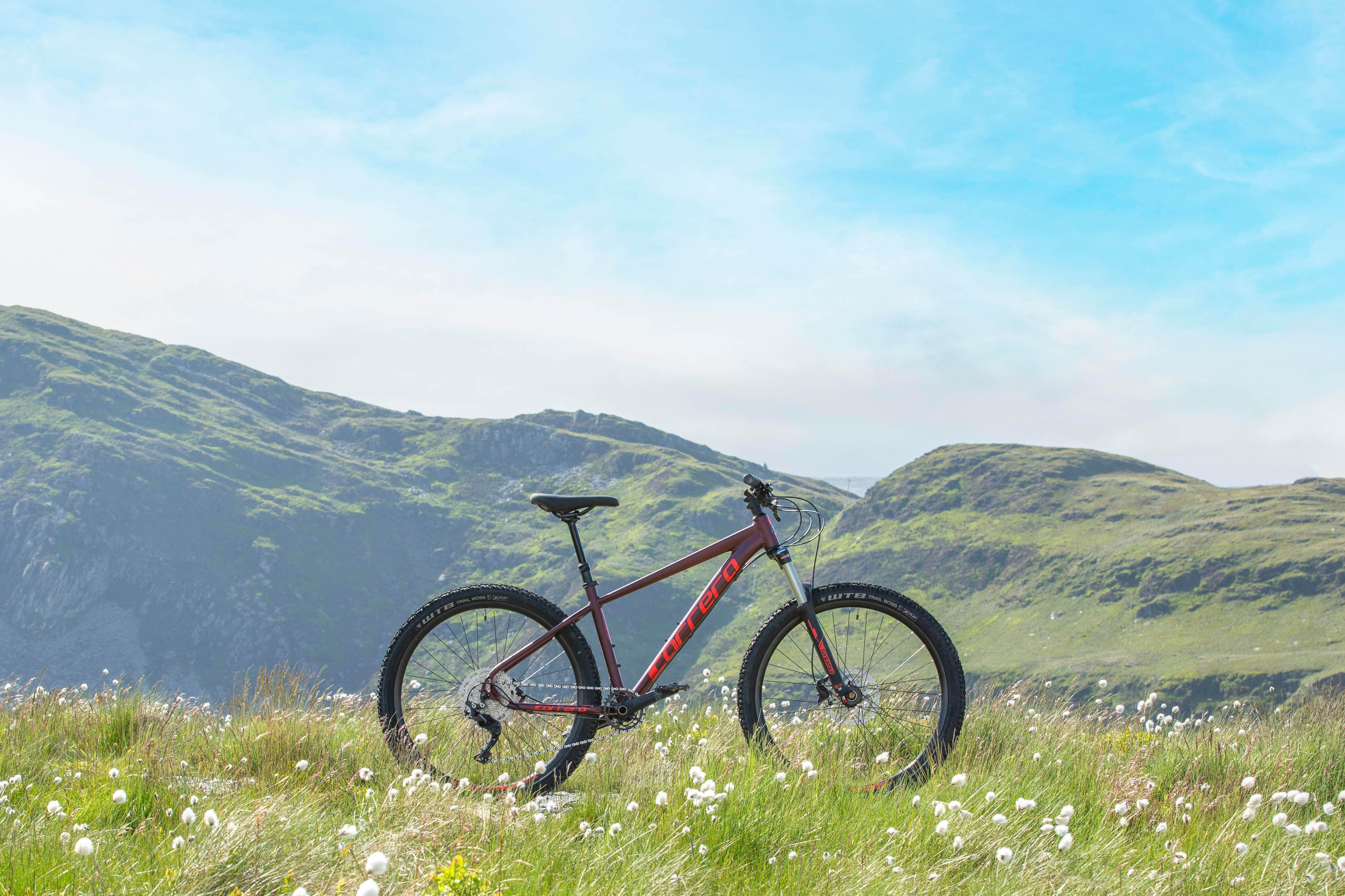Carrera Fury Mountain Bike - L Frame