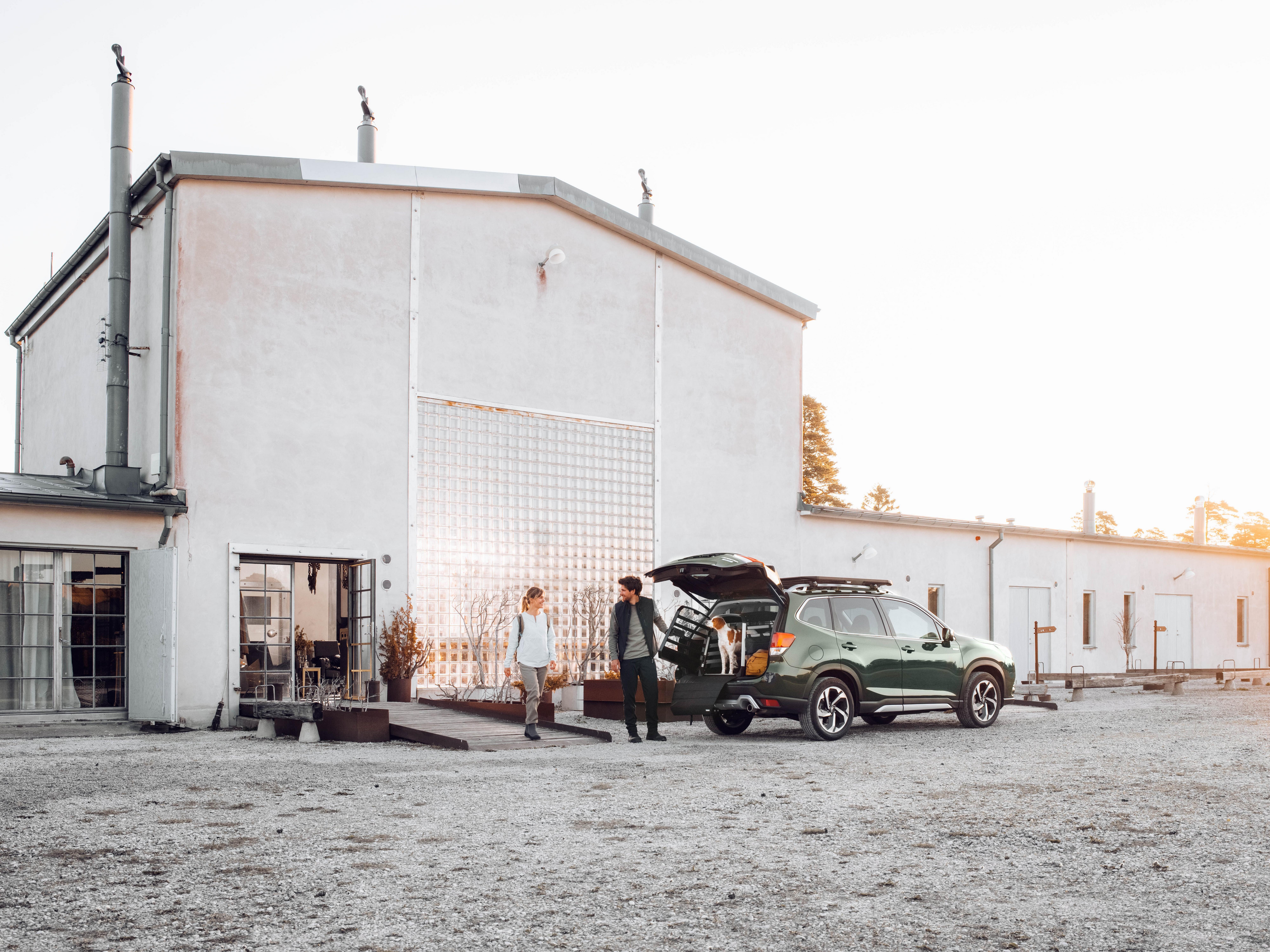 Thule Allax XS Dog Crate