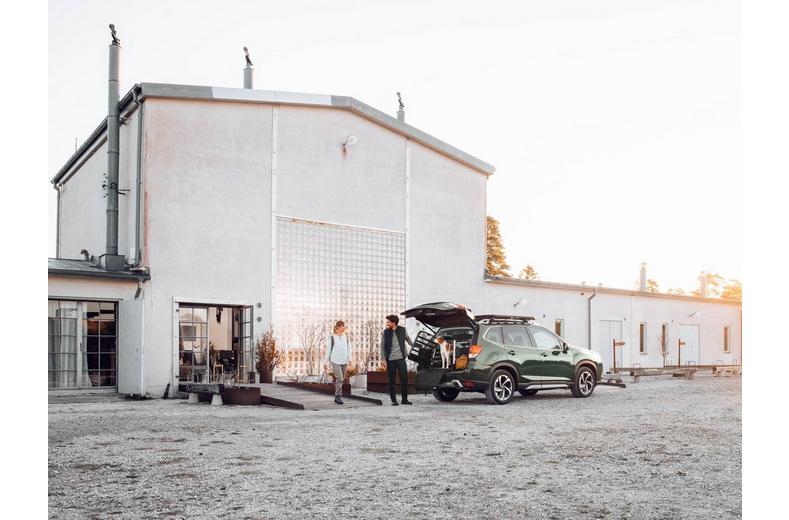 Thule Allax XS Dog Crate Thule Allax XS Dog Crate