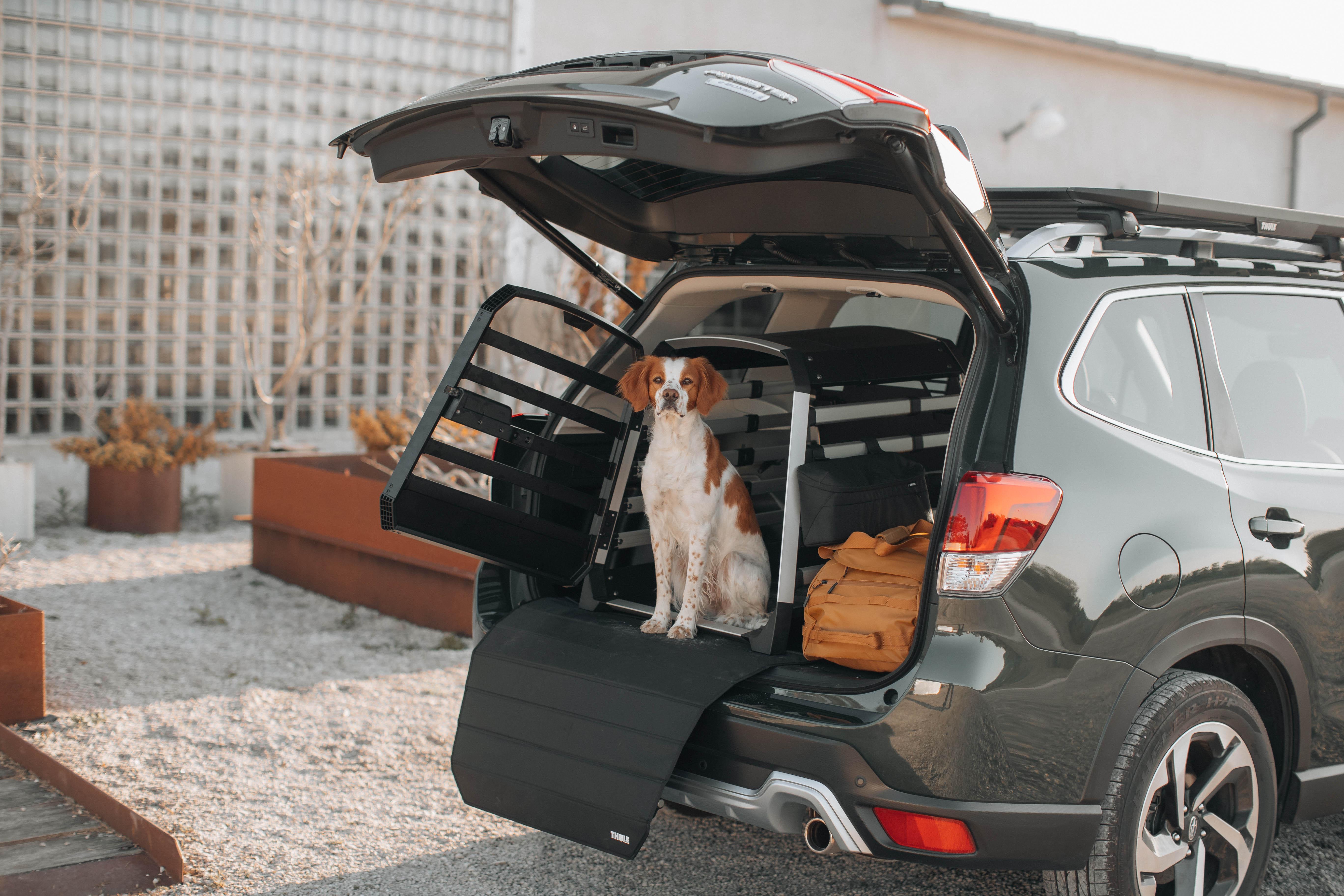 Thule Allax XXL Dog Crate
