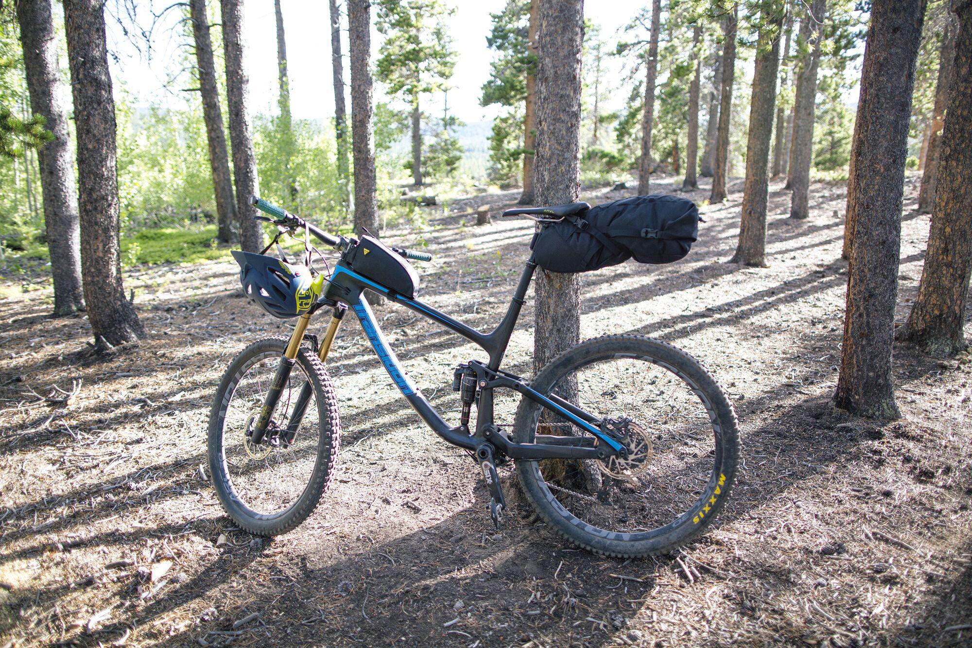 Topeak Backloader 15L Bag - Black