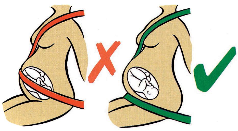 Clippasafe Advanced Bump Belt