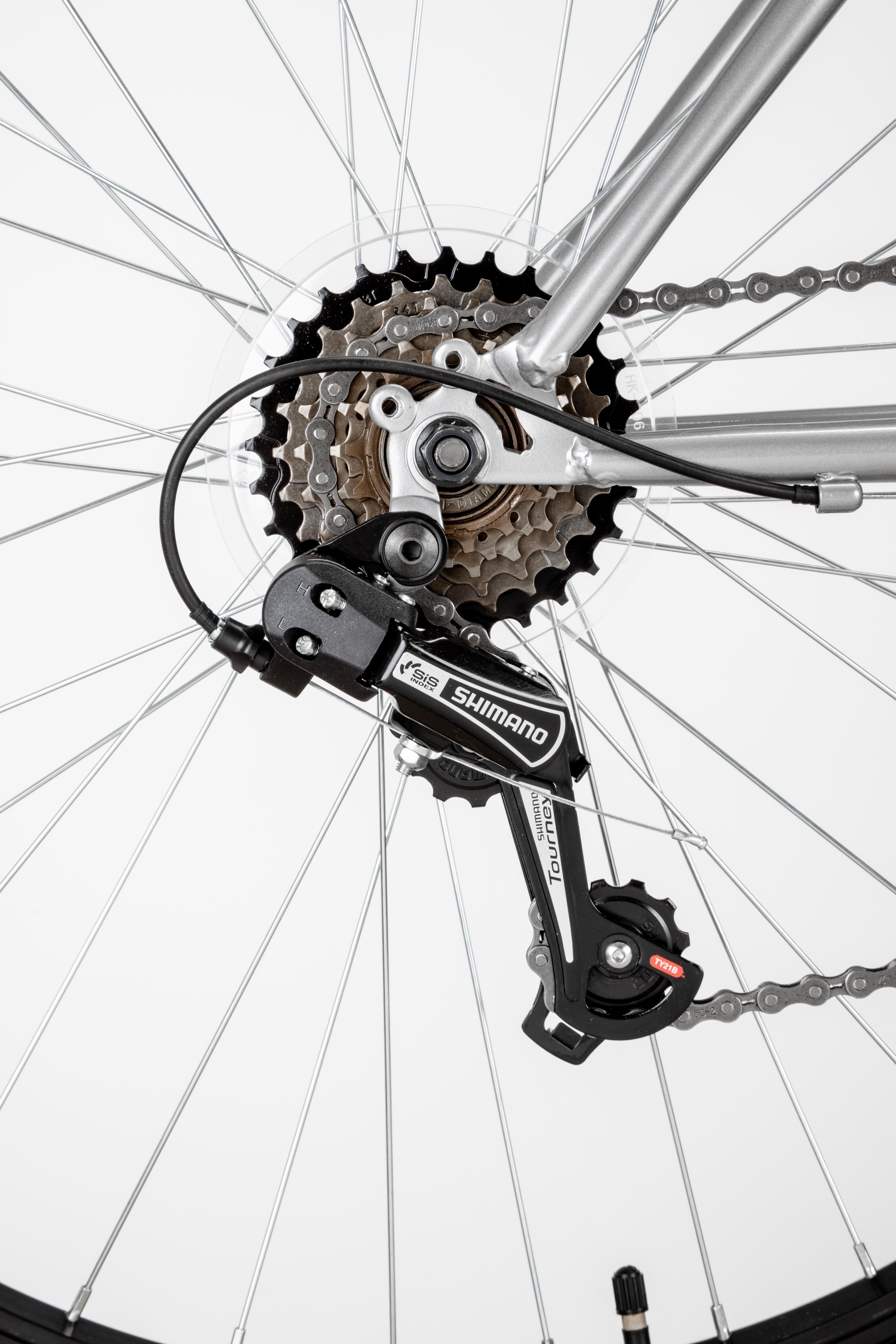 Apollo Slant Mountain Bike - L Frame