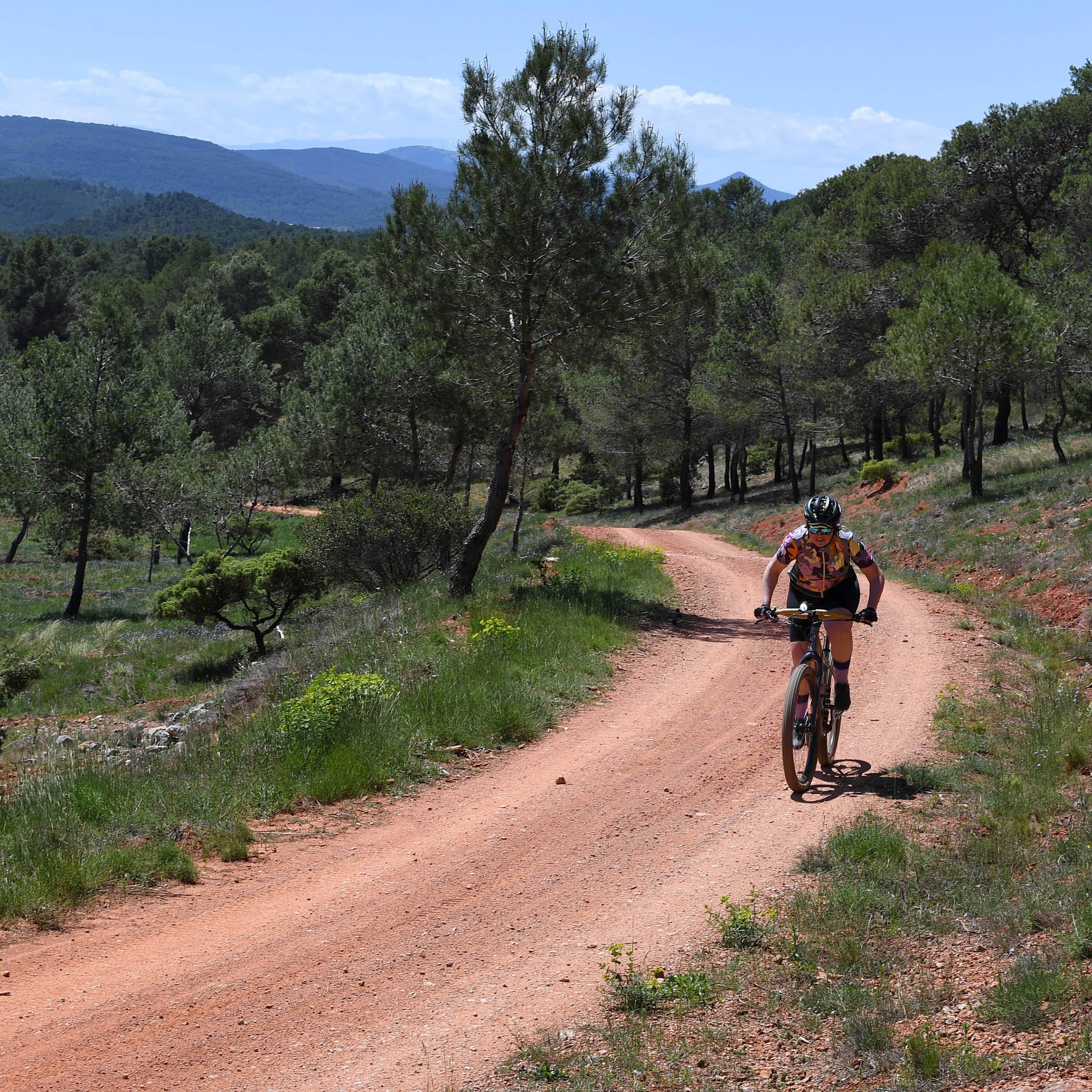 Kinesis Fernweh Titanium MTB Frame, Small